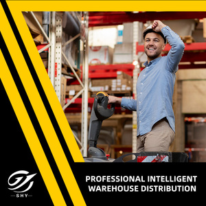 通过SHY承运商提供海运和空运门到门服务，运送到荷兰和德国，采用混载+快递运输（50-60天运输） - Product Image 3