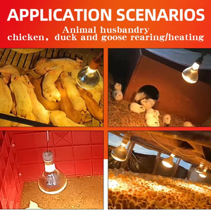 Waterproof Infrared Heat Lamp Red Pitted Breeding Bulb Pet Brooder Hatch Chicken Pig Animals Infrared Heating Lamp - Product Image 6