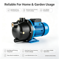 Pompa Jet Booster Motor Listrik Tekanan Tinggi Self-Priming untuk Taman, Bodi Besi Cor, Motor Paduan Aluminium 1 inci OEM
