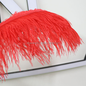 Plumas de Avestruz Blancas Grandes de Alta Calidad de 70-75 cm (28-30 Pulgadas) Teñidas para Fiestas, Carnaval, Bodas, Decoración y Manualidades al por Mayor - Product Image 6