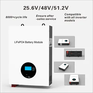 بطارية Lifepo4 Bms Lifepo4 كهربائية 24 فولت رخيصة مع اتصال الشبكة المحلية