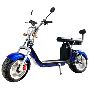 Motocicleta Eléctrica E Chopper 250 W Touring, Disponible en UE y EE. UU., Citycoco con Aprobación DOT y COC, con Batería - Product Image 1