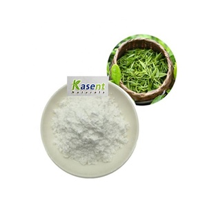 ผง <span class=keywords><strong>L</strong></span>-<span class=keywords><strong>theanine</strong></span> สารสกัดจากชาเขียวออร์แกนิก Cas.3081-61-6 40% 20% 98% <span class=keywords><strong>L</strong></span>-<span class=keywords><strong>theanine</strong></span> <span class=keywords><strong>BULK</strong></span> - Product Image 4