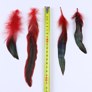 Plumas <span class=keywords><strong>de</strong></span> gallo coloridas y llamativas para disfraces góticos oscuros <span class=keywords><strong>de</strong></span> <span class=keywords><strong>bruja</strong></span> y vampiro, fénix, grión y pájaro relámpago, tocados tribales, máscaras y accesorios <span class=keywords><strong>de</strong></span> fiesta. - Product Image 2