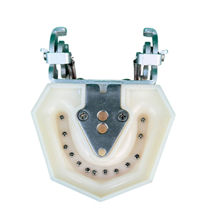 Nhà máy HOT salesoft gingiva nha khoa mô hình nha khoa bột giấy sứ Veneer nha khoa tiêu chuẩn 28 có thể tháo rời răng - Product Image 3