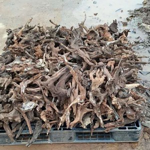 Décoration d'<span class=keywords><strong>aquarium</strong></span> en bois naturel pour <span class=keywords><strong>aquarium</strong></span>, vente en gros - Product Image 3