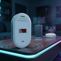 220V Wifi Sensor Semikonduktor Pintar Detektor Gas CH4 Deteksi Gas Mudah Terbakar untuk Dapur Rumah Aplikasi Aman Pemantauan Jarak Jauh WiFi