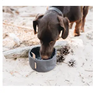 热卖宠物旅行防水便携式喂食器可折叠狗旅行碗宠物狗猫水和食物碗