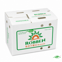 Waterdichte, milieuvriendelijke, opvouwbare plastic doos voor fruit, groenten en okra, gemaakt van polypropyleen holle golfplaten.