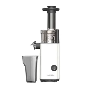 Wholesale private label mini ice cream fruit juice maker cold press slow juicer portable blender juicer