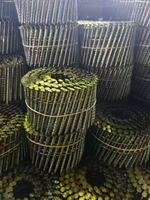 Clous de bobine de fer à tige en spirale de haute qualité pour la construction de bâtiments finition galvanisée bricolage personnalisable