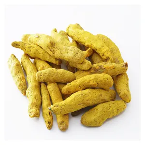 Wholesale Premium Organic Ground Dried Turmeric Finger Original Spices Herbs Products Factory Supply