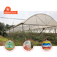 Serre multi-travées de type tunnel en polyfilm pour l'agriculture, abri de pluie pour la culture de légumes et de fruits en zone tropicale