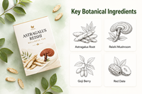 Teh Herbal Astragalus Ganoderma dalam Kantong untuk Meningkatkan Vitalitas Qi, Darah, dan Kesehatan Imunitas, Teh untuk Kesehatan Sehari-hari