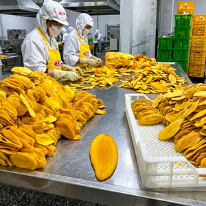 Mango Deshidratado en Rodajas de Vietnam FD - Venta al por Mayor, Sabor Dulce, Bajo Precio para Pedidos de Gran Volumen - Product Image 1