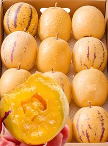 ผงผลไม้โสมขายส่ง สารให้ความหวานจากธรรมชาติ ผงเมล่อนเปปิโน - Product Image 5
