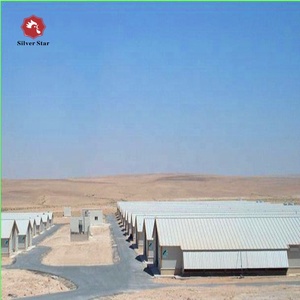 Nave para Pollos de Engorde para Equipos Avícolas Automatizados - Product Image 1