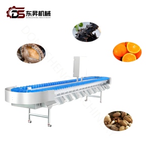 Machines de tri automatique du poids pour le contrôle du poids des poissons, alimentation automatique et tri du poids des filets de saumon - Product Image 2