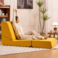 Canapé moderne simple, durable, pliable, confortable, mousse haute résilience, dossier réglable multi-angles, canapé à compression
