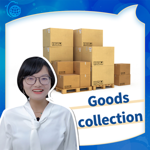 FBA <span class=keywords><strong>Cargo</strong></span> offre un service d'agent bolivien professionnel DDP Sea LCL + Express Logistics Freight Forwarding <span class=keywords><strong>Air</strong></span> + Express Product - Product Image 6