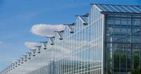 Mini serre en verre trempé avec hydroponie pour l'agriculture