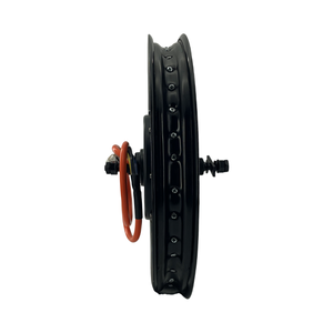 <span class=keywords><strong>QS</strong></span> <span class=keywords><strong>205</strong></span> 50H V3 3T 4T <span class=keywords><strong>5T</strong></span> 6T Moteur de moyeu de vélo électrique avec jante de cyclomoteur 17 pouces 18 pouces 19 pouces - Product Image 4