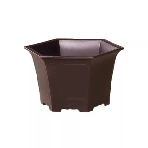 Pots de bonsaï hexagonaux classiques en <span class=keywords><strong>plastique</strong></span> de 15.8cm pour la <span class=keywords><strong>culture</strong></span> de petits arbres - Product Image 1