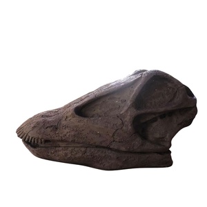 Répliques de squelette grandeur nature modèle squelette de dinosaure os de dinosaure pour musée - Product Image 1