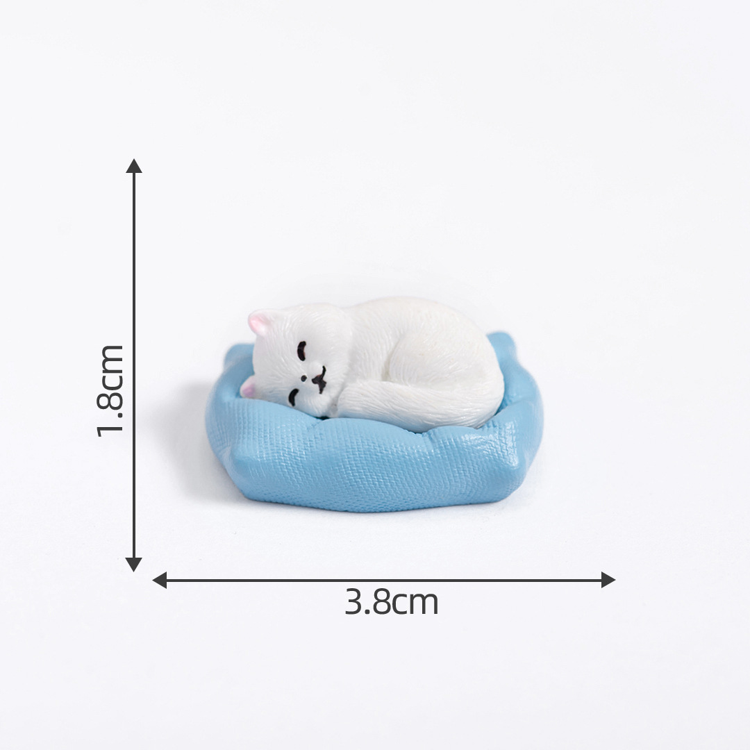 2#Cat