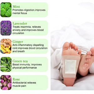 Fabrikant-direct aanpasbare, huidvriendelijke, snelwerkende groene thee voet detox pleister groothandel Guangdong oorsprong voetverzorging - Product Image 3