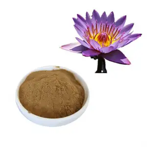 Hot Sale Product Pure Natural Blue Lotus Extract Powder 10: 1 Lotus Leaf Extract Powder