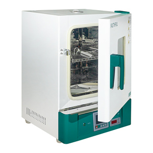 Horno de secado de aire caliente eléctrico de 125L Interior de acero inoxidable 304, RT + 10 ~ 300 ℃ Rango de temperatura Circulación de aire forzado para laboratorios industriales - Product Image 5