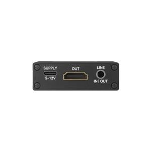 Convertisseur de caméra UVC vers HD avec 2 ports USB pour envoyer la vidéo de la caméra USB vers Internet - Product Image 5