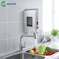 OZOTEK TWO002 Purificateur d'eau à l'ozone 12V 0.2-1.0 PPM pour hôtel et ménage, buanderie, douche et purificateur de linge