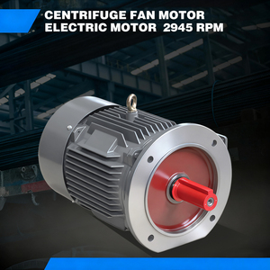 Motor de Inducción Trifásico de CA de 60Hz, 380V, 15kW, 20hp, 100% Cobre, 2880rpm, 2 Polos para Bombas - Product Image 3