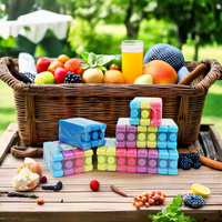 Mini poche à glace réutilisable en HDPE avec gel réfrigérant SAP, brique de glace pour sacs isothermes