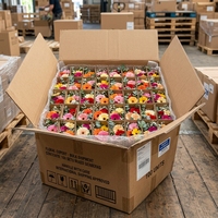Ramo de 5 Cabezas de Gerbera Artificial, Ramillete de Girasoles de Seda, Flores Artificiales Pequeñas para Decoración de Bodas, Fiestas y Hogar, Relleno de Jarrones, Venta al por Mayor