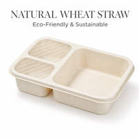 Boîtes alimentaires portables jetables écologiques non toxiques sans BPA en plastique PP pour micro-ondes, réutilisables, en paille de blé, avec compartiments