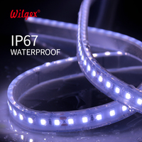 Bande LED 12V 24V étanche IP65 fine Wi-Fi/Intelligente Monocouleur en Silicone pour Extérieur/Intérieur avec Commande Vocale 1m/5m