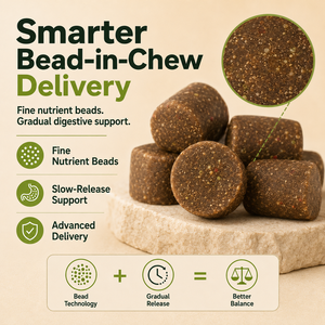 OEM ODM Masticables Blandos Probióticos para Perros a Base <span class=keywords><strong>de</strong></span> Esporas, 8 Cepas, Prebióticos, Salud Intestinal, Suplemento Digestivo e Inmunitario, Pollo Hidrolizado - Product Image 3