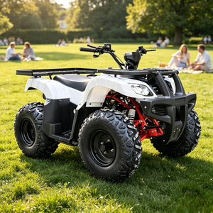 <span class=keywords><strong>Quad</strong></span> tout-terrain 180cc pour adultes, véhicule tout-terrain 4 roues avec marche arrière et bras oscillant indépendant, utilitaire agricole - Product Image 4