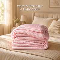 Couette en duvet de canard blanc pour hôtel, vente en gros, simple, 700g, insert de couette, hiver, moelleuse, chaude, anti-duvet, hypoallergénique, fabrication OEM ODM