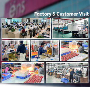 Statuetta Scatola Cieca OEM Personalizzata in PVC, Scatole Misteriose di Tendenza, Action Figure Animali Giocattolo, Ornamento Artistico in Vinile - Product Image 4