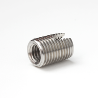 Customized 303 304 Stainless Steel Passivated Metric Inner Thread Slotted Self Tapping Threaded Insert