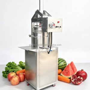 Presse hydraulique à froid de petite taille 30L, robuste, pour déshydratation, machine commerciale pour jus de gingembre, fruits et raisins, extracteur de jus - Product Image 1