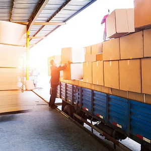 중국에서 UAE 사우디아라비아까지 최고의 호별 항공 특급 배송 UPS DHL <span class=keywords><strong>FedEx</strong></span> UPS 포워더 배송 대행 물류 - Product Image 4