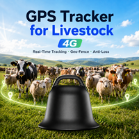 Mini Rastreador GPS Antipérdida, Compatible con WiFi, LBS, Beidou, Resistente al Agua IP67, para Mascotas, Perros, Gatos, Ganado, Ovejas, 4G