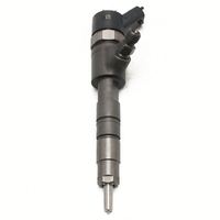 0 445 110 801 0445110801 Inyector de Combustible Common Rail de Alto Rendimiento, Calidad Estable Probada