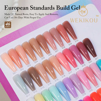 Nouveau style de vernis gel professionnel standard européen, art des ongles, 46 couleurs, vernis gel à marque privée