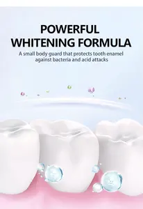 アミノ酸ホワイトニング歯磨き粉ベーシッククリーニングギンギバ保護大人用歯磨き粉
